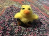A needle-felted small yellow bird with an orange beak, small black eyes, three feathers on the back of its head and two-toed feet.
