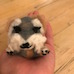 A needle-felted grey and brown dog dog with brown ears, a white beard, white eyebrows, a white tail, white paws, and thick eyelashes being held in a hand.