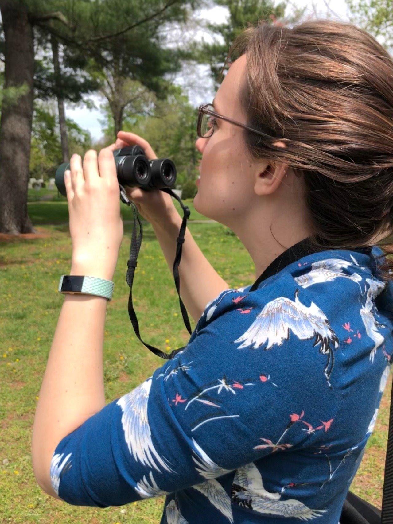 Rebecca Doris, wearing a blue dress with a print of herons, looking through binoculars away from the camera at Mount Auburn Cemetery in Cambridge. There is a pine tree in the background.
